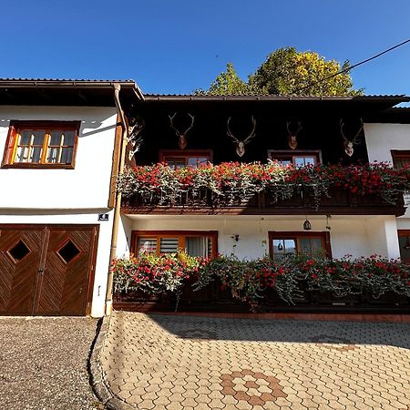 Haus Wagner Apartment Bad Kleinkirchheim Ngoại thất bức ảnh
